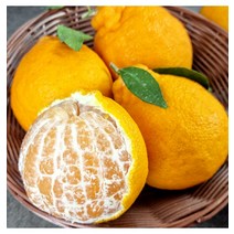 [식품의즐거움] 산지직송 제주 한라봉 가정용 2kg(6~10과) 중대과 / 실중량, 식품의즐거움 산지직송 제주 _단품