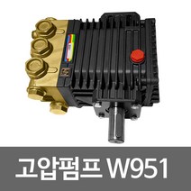 인터펌프 INTERPUMP 고압세척기펌프 고압펌프 W951