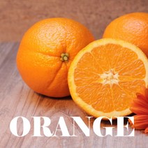 씨와이농부 미국산 네이블 오렌지 고당도오렌지 재구매 90% 17kg, 230g, 20개