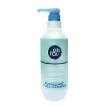 기분좋은 알앤비 피톤테라피 페퍼민트 쿨샴푸 1000ml, 알리바바마켓 1