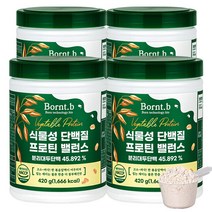 본트비 맛있는 식물성 단백질 프로틴 밸런스 BCAA, 4통, 420g