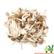 사라상회 만가닥버섯 2Kg (1봉) 갈색송이, 1개
