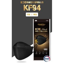 휴그린 미세먼지 방역마스크 대형 블랙 KF94, 100개입, 1개