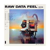 Everything Raw Data Feel LP 음반 바이닐 레코드 앨범