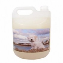 대형견 리트리버 산책 진드기 예방 샴푸4L 해충방지 펫케어숍 대형견산책후 가성비