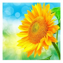 히여 보석 십자수 DIY 패키지 3D 90여종 도안 소형 중형 대형 시리즈, 1세트, 01. 해바라기 한송이 BH-196