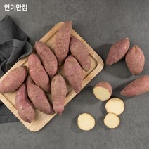 인기만점 해남 꿀고구마, 5kg 한입