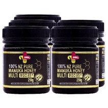 SPH 뉴질랜드 마누카꿀 MGO 85+ UMF 5+ 250g x5 Manuka Honey 벌꿀, 5box