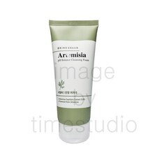 브링그린 사철쑥 약산성 클렌징 폼 200ml, 1개