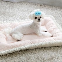 말썽쟁이여름 강아지 애견 개 펫 고양이 애완견 중형견 노견 마약 꿀잠 사각 쿠션 집 켄넬 에어 매쉬 방석, 다크그레이