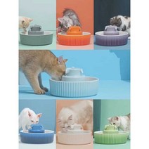 애견 온열식기 가열 물통 도그 급수대 자동난방 겨울, Orange+필터요소6개플러그앤브러시+코드세트