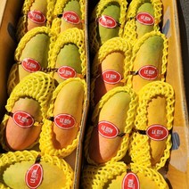 마하차녹무지개망고 무지개망고 태국망고 항공망고, 5kg(8-16수)