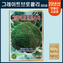 23년산 그레이트브로콜리 씨앗 300립- 조생종 broccoli seeds, 1개