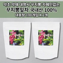 꾸지뽕잎 추출물 구지뽕 꾸지뽕 뿌리 열매 잎 뽕잎 줄기 꾸지뽕잎차 약초 약재 암 나무 껍질 효능 국산 국내산 침출차 대용량 건강 좋은 카페인없는 차 티 티백 100개입, 2개