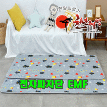 한일의료기 탄소피복 침대용 카본 온열매트 전자파걱정없는 EMF인증 전기매트 6종선택, 인디안, 더블