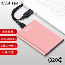 320G 외장 SSD 하드 휴대용 컴퓨터 파일 자료 저장 장치, 핑크320G+하드케이스
