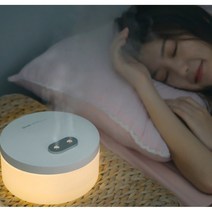 간편세척 무선 작은방 원룸 심플 가습기 국민 가정용대용량 회사 스마트, 핑크