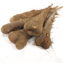 클라스가 다른 더조은 국내산 산마 2kg(알뜰형.중품.특상품), 산마(특상품)2kg