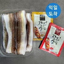 통영 손질 자연산 바다장어 특대 + 소스 2종, 3kg (6~9미), 1개