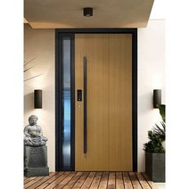 단독주택 방화문 전원주택대문 현관방화문 빌라현관문, D디자인(사이즈 고객센터상담 후 주문)
