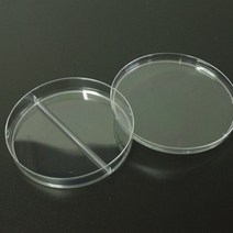 2분할 세균 배양 실험 격자 눈금 샬렛 페트리 패트리 접시 디쉬 샬레 10개 손 과학 영역 교구 도구 세트