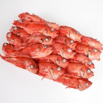 적어 24~26cm내외 35마리 전후 식당 업소용 가정용 생선 아까무스 빨간고기 장문볼락