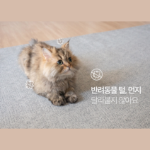 먼지없는 워셔블 러그 작은방 카페트 강아지 고양이 방수