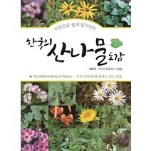 사진으로 쉽게 알아보는 한국의 산나물도감:우리 산과 들에 숨쉬고 있는 보물, 윤미디어