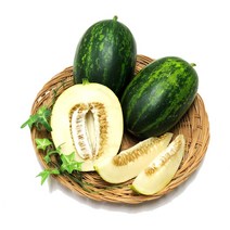 대한농산 파파야 메론/멜론 2kg내외(3-6수), 1box, 2kg(3-6수)