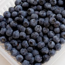 호블 영동 국내산 냉동 블루베리 1kg 건강한 슈퍼푸드 산지직송, 2팩, 1kg(500gx2)