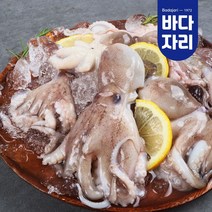 [산지직송] 서해 봄 주꾸미 급랭 주꾸미 500g 주꾸미볶음 주꾸미숙회 냉동주꾸미