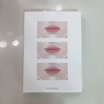 메이크업일러스트 떡메모지 페이스차트 [수아의 메이크업북] 아이메이크업 립 발색 화장 색조, 립떡메모지