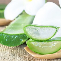 두리농산 알로에겔 베라250 오리지널 1000mlx6병+2병덤(총8병), 상세 설명 참조, 단일옵션