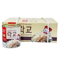 반찬단지 락교 (SSS) 3kg 업소용 캔락교, 6개