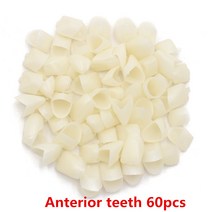 치과 실험실 치아 임시 수지 도자기 개갑 도구, 01 Anterior teeth