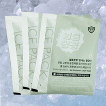 항균 친환경 아이스팩 은나노 얼음팩 얼음주머니 15개
