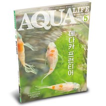 아쿠아라이프 2023년 5월호 _ 메다카 프런티어