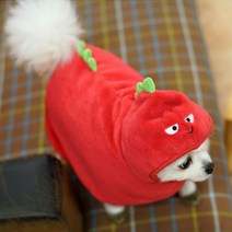 입기쉬운 겨울용 소형견 외출가운 옷 애견타월 펫타올