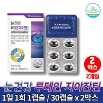 아이 루테인 지아잔틴 눈영양제 셀렌 제아잔틴 비타민 아이루텐 아연 LUTEIN 헤마토코쿠스 빌베리 블루베리 결명자 추출물, 2박스