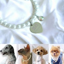 라이프소울 강아지 고양이 인식표 진주목걸이 써지컬스틸, 5번 하트