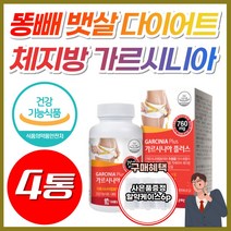 NWC 체지방 가르시니아 HCA 750 여름철 단기 간 다이어트 복부 허벅지 체지방 내장지방 감소 급찐 급빠 효과좋은 가성비 가루시니아 남성 여성 뱃살 줄이는 빼는 빼기 약 X, 4개, [할인] 가르시니아플러스 (2개월분)