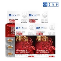 종근당 20100 혈행건강엔 나토키나제 (400mg X30정) 4박스, 기타