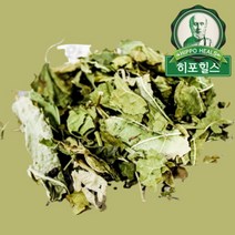 제천약초생활건강 뽕잎 300g, 1개, 200g