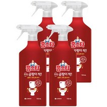 LG생활건강 홈스타 뿌리는 곰팡이 싹 750ml X 4개