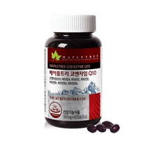 메이플트리 코엔자임 Q10 500mg 60캡슐_2개월분
