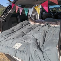 [국산] 리빙캐슬 항균 다용도 차박 캠핑 이불 침낭 2인용 사계절, 이불 + 패드, 그린