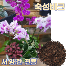 숙성바크10L 중립 서양란 화분갈이전용 소나무껍질바크 아로니아 블루베리전용 원예 조경용 파충류바닥재