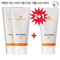블루밍셀 여드름 흉터 홍조 색소 침착 트러블케어 병풀잎수 피부과 시카 크림 40g x2개