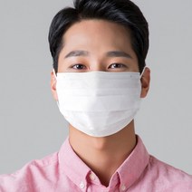 KF-AD 애니가드 비말 차단 마스크 20매 대형 프리비 국내산 황사 미세 먼지 바이러스 안전 예방 용품 필터