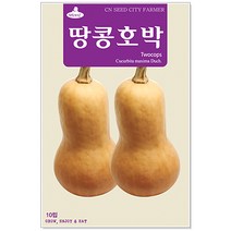 땅콩호박 10립